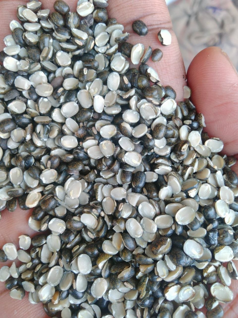 Split Black Gram