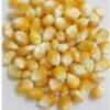 Popcorn Kernels