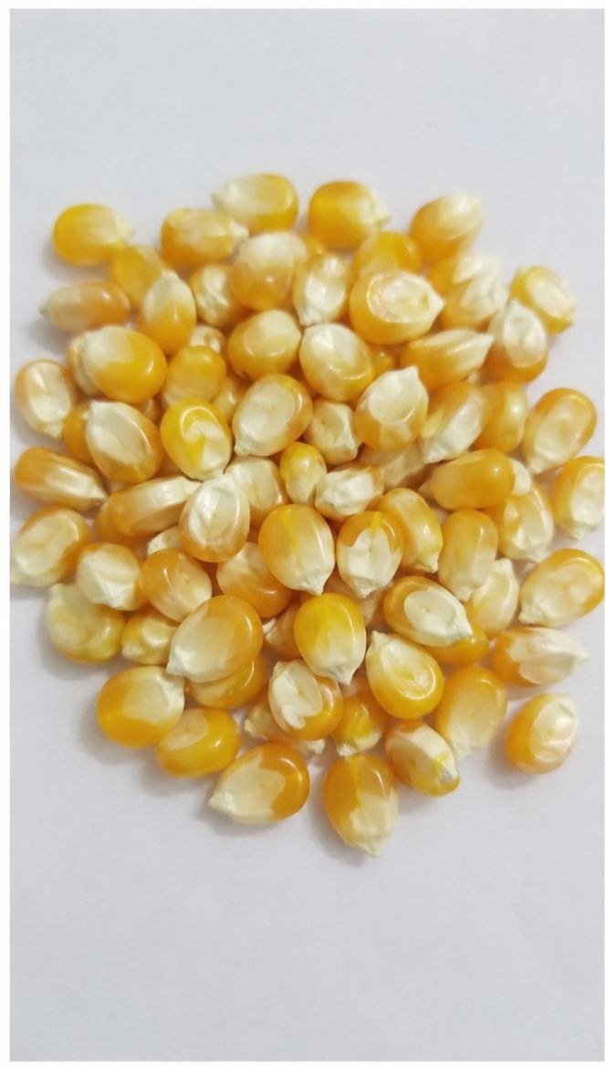 Grains & Cereals