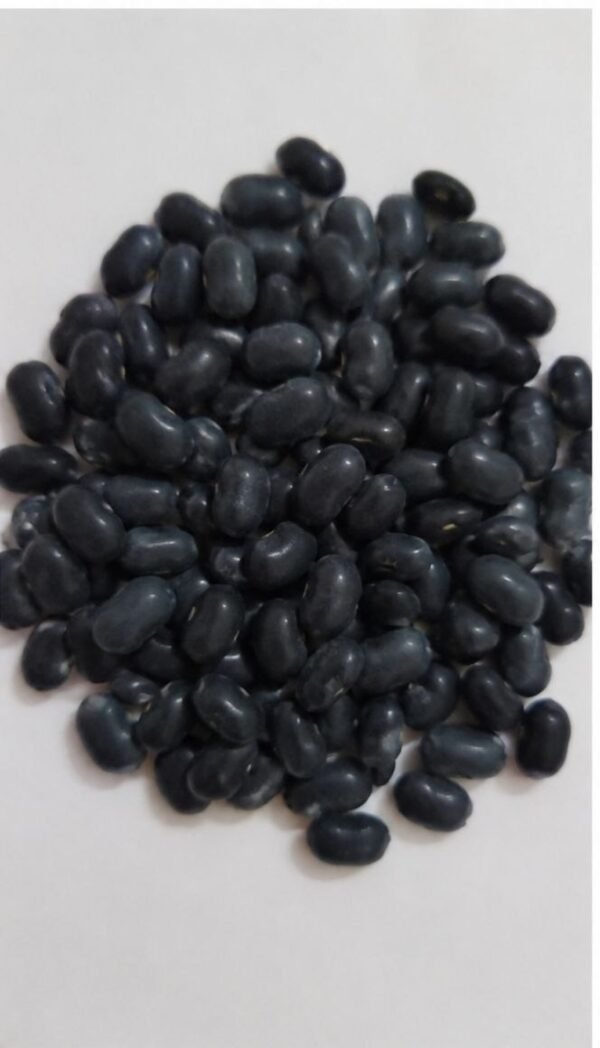Organic Black Beans (Kala Rajma / Black Turtle Beans)