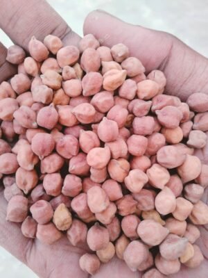 Desi Chana (Bengal Gram)