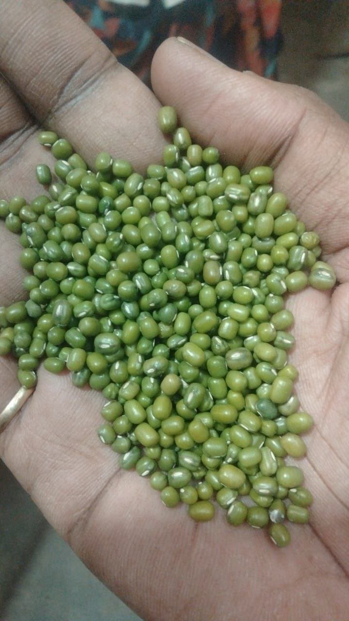 Green Gram