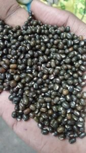 Whole Urad Dal (Black Gram with Skin)