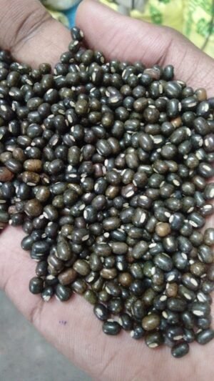 Whole Urad Dal (Black Gram with Skin)