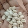 Premium Kabuli Chana (White Chickpeas)